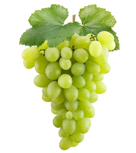 Grapes